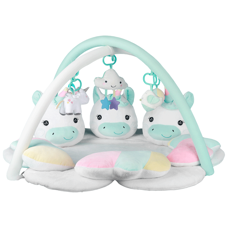 Baby Play Gym With Unicorn Mat